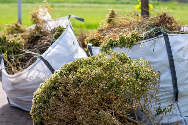 Best Garage Cleanout  in Holland, OH